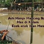 Mimpi Mancing Dapat Ikan Gabus Erek Erek