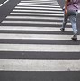 Zebra Cross Disebut Juga Dengan